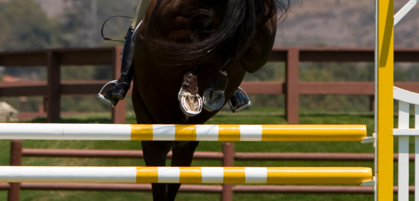 La FEI sospende Andre Schröder per maltrattamento