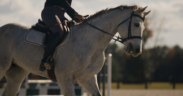 Serie Netflix "Il lato oscuro dello sport": il 5° episodio dedicato ai cavalli