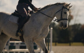 Serie Netflix "Il lato oscuro dello sport": il 5° episodio dedicato ai cavalli