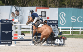 A proposito di "Noi e i cavalli" di Albert Voorn