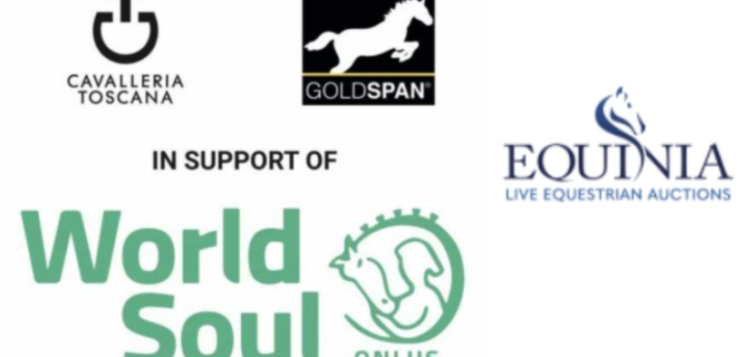 Asta di beneficenza : Cavalleria Toscana & Goldspan insieme per World Soul Onlus