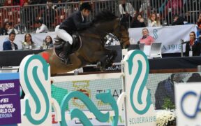 Catwalk IV ritirato dallo sport