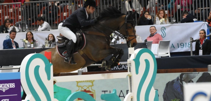 Catwalk IV ritirato dallo sport