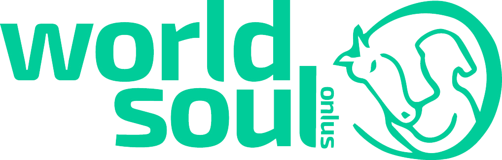 Conclusa con successo l'asta di beneficenza per World Soul Onlus 1
