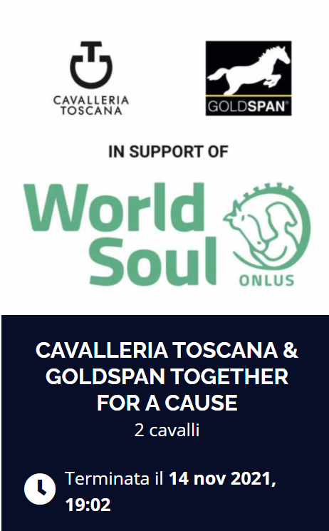 Conclusa con successo l'asta di beneficenza per World Soul Onlus