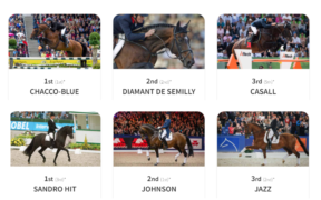 Ecco le WBFSH Top Sire & Studbook Rankings 2021