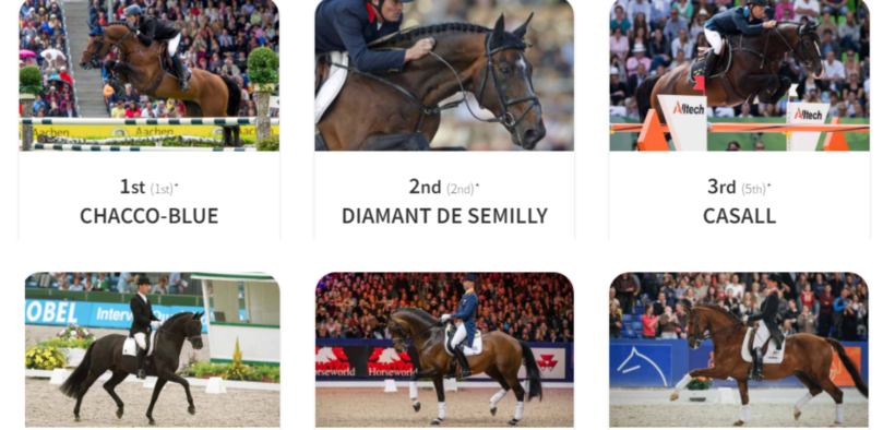 Ecco le WBFSH Top Sire & Studbook Rankings 2021