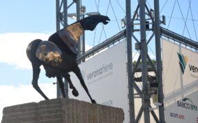 Fieracavalli 2021, 100mila visitatori su 2 weekend; il prossimo appuntamento dal 3 al 6 novembre