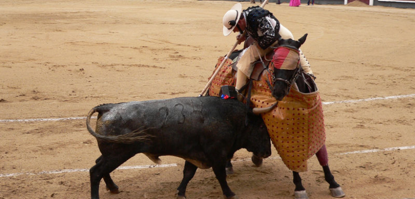 Fieracavalli 2021: sulla questione ‘Reconeador’ giungono precisazioni