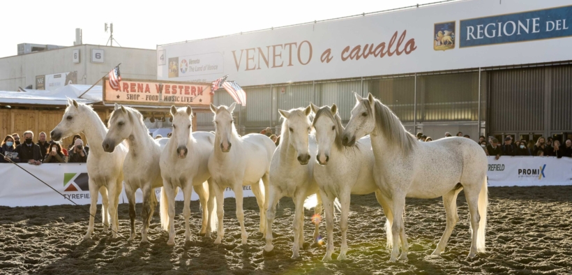 Fieracavalli, buona la prima. Ora si replica con il 2° weekend