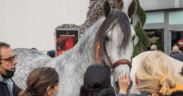 Fieracavalli: gli appuntamenti di sabato 13 e domenica 14 novembre