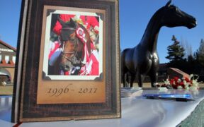 Hickstead e Verona, per non dimenticare