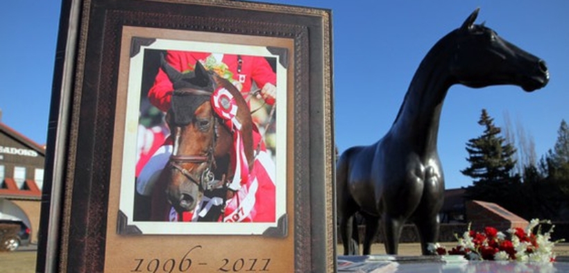 Hickstead e Verona, per non dimenticare