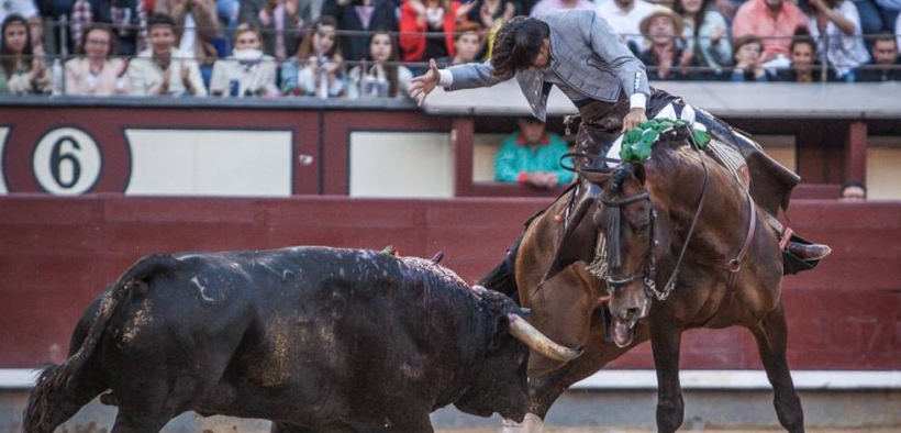 Nicole Berlusconi e Fieracavalli si dissociano dai "Rejoneador": show del tutto fuori luogo