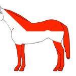 Tosatura dei cavalli: distinguere tra funzionalità e mera estetica 5