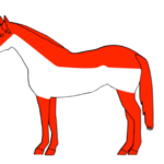 Tosatura dei cavalli: distinguere tra funzionalità e mera estetica 6