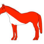 Tosatura dei cavalli: distinguere tra funzionalità e mera estetica 7