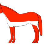 Tosatura dei cavalli: distinguere tra funzionalità e mera estetica 8