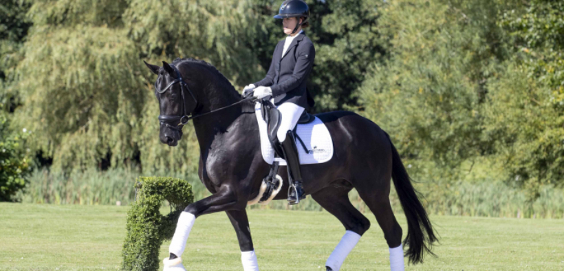 Un figlio di Totilas ha vinto l'Oldenburg Main Premium Title 2021 [video]
