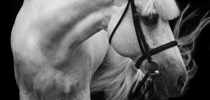 Addio al leggendario Levisto Z [video]