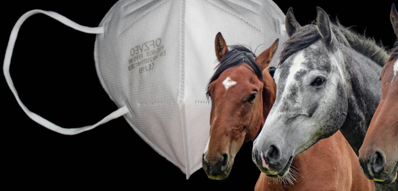 Contenimento Covid-19: mascherine FFP2 durante le competizioni sportive