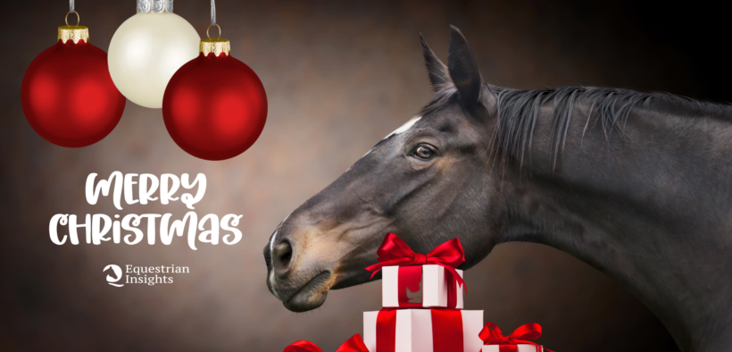 Equestrian Insights augura a tutti Buon Natale!