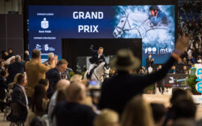 Grand Prix internazionali, ecco i podi (WEEK #50) 1