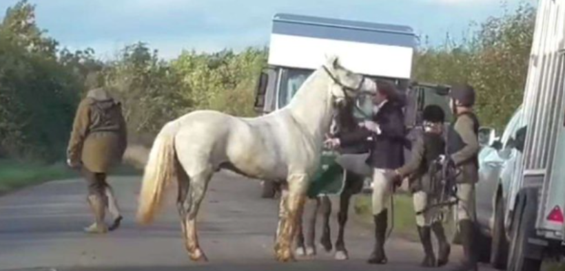 Invito a "caccia" (alla volpe) con... botte al cavallo
