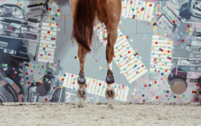 L'IJRC / Eleonora Ottaviani in prima linea nella lotta vs il format a tre senza drop score alle Olimpiadi