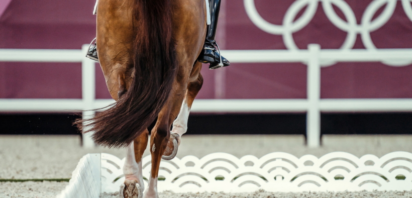 Olimpiadi Los Angeles 2028: l'Equitazione è nel programma