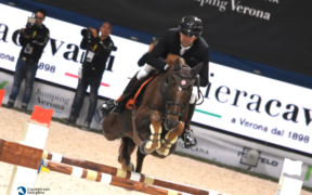 Top Jumping Horses: Hermès Ryan (des Hayettes)