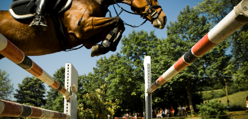 Affaire Beerbaum: per la Federazione Tedesca qualche problema c'è