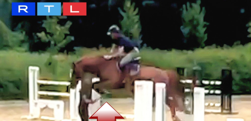 Beerbaum nell'occhio del ciclone per sbarramento di cavalli