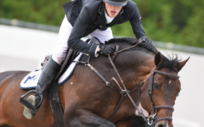 Eletto il cavallo dell'anno per gli Stati Uniti: Balou du Reventon 1