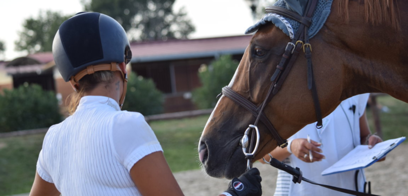 FISE, approvato l'iter di qualifica per Tecnico di Scuderia per Lunga Pratica