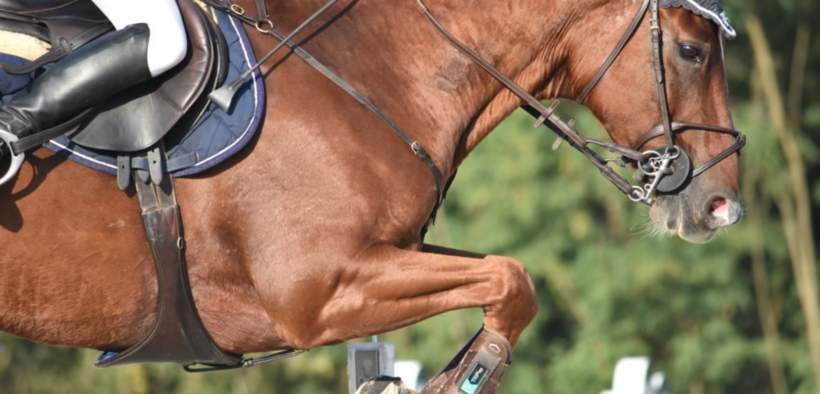 Modifiche FEI ai Regolamenti di salto ostacoli e veterinario