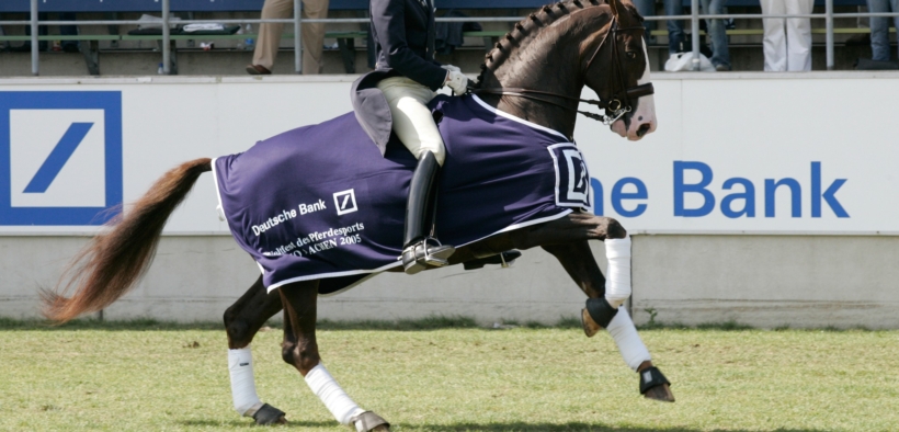 Rest in peace Björsells Briar! Addio al poliedrico stallone tre volte olimpico