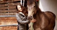 Su Netflix imperdibile il docufilm "For The Love Of The Mustang"