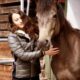 Su Netflix imperdibile il docufilm "For The Love Of The Mustang"