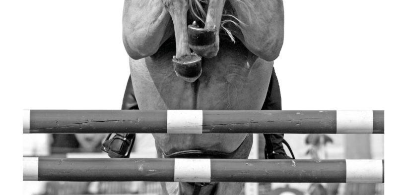 Sulle accuse a Beerbaum interviene la FEI