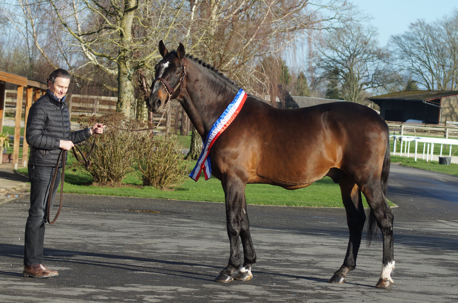 Addio a Diamant de Semilly 1