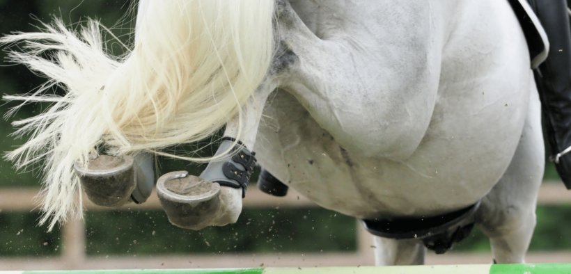 Chiodi nelle stinchiere: sospensione FEI dalla gare per 4 anni