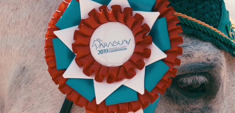 Confermate ben 30 nazioni per l’edizione 2022 degli FEI Youth Equestrian Games: niente Italia