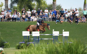 Grand Prix internazionali, ecco i podi (WEEK #05) 1