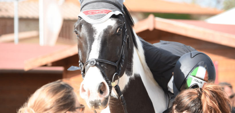 La FISE lancia il sondaggio sulla proprietà responsabile di cavalli non-DPA 1