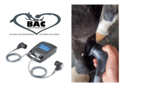 Research BAC Technology Eq-Ultrasound: case report veterinario