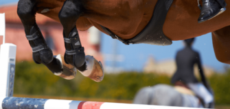 Salto ostacoli: specifiche sul cambiamento del computo delle penalità per il tempo 2