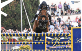 Top Jumping Horses: Gazelle