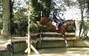 Addio a Chequers Play The Game di Vittoria Panizzon 1