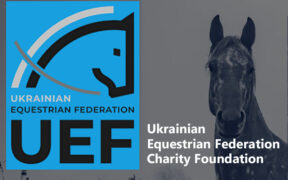 Aiuti a sostegno della comunità equestre ucraina: ecco come si può fare